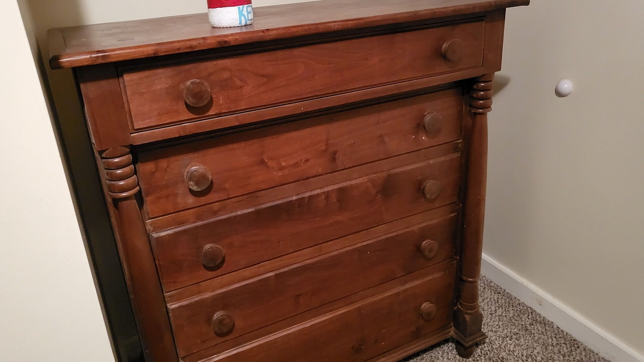 Photo of Others in Speedwell