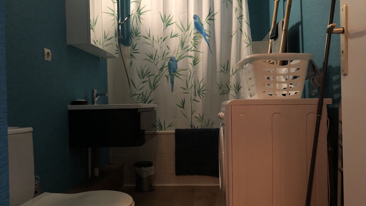 Photo of Bathroom in Nouvelle Ville