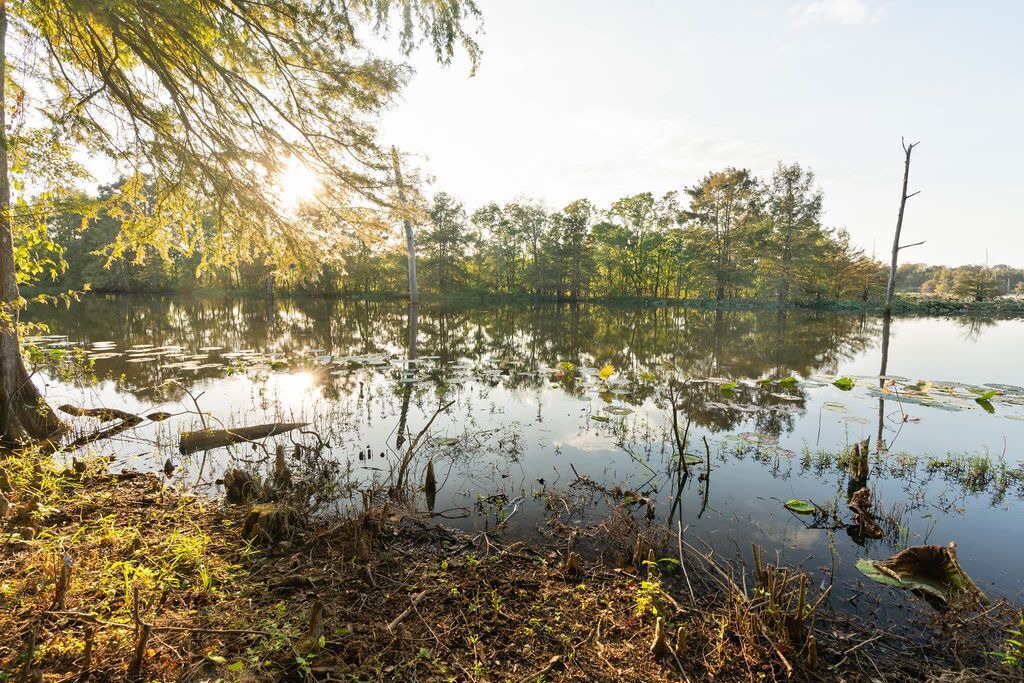 Photo of Outdoor in Farmerville
