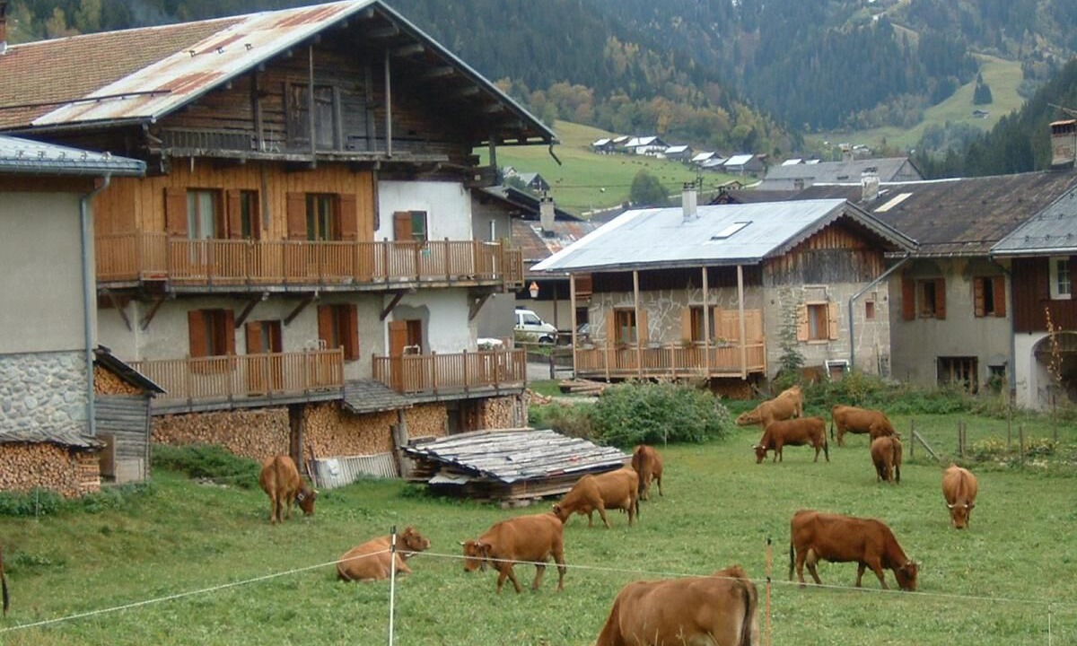 Photo of Outdoor in Areches