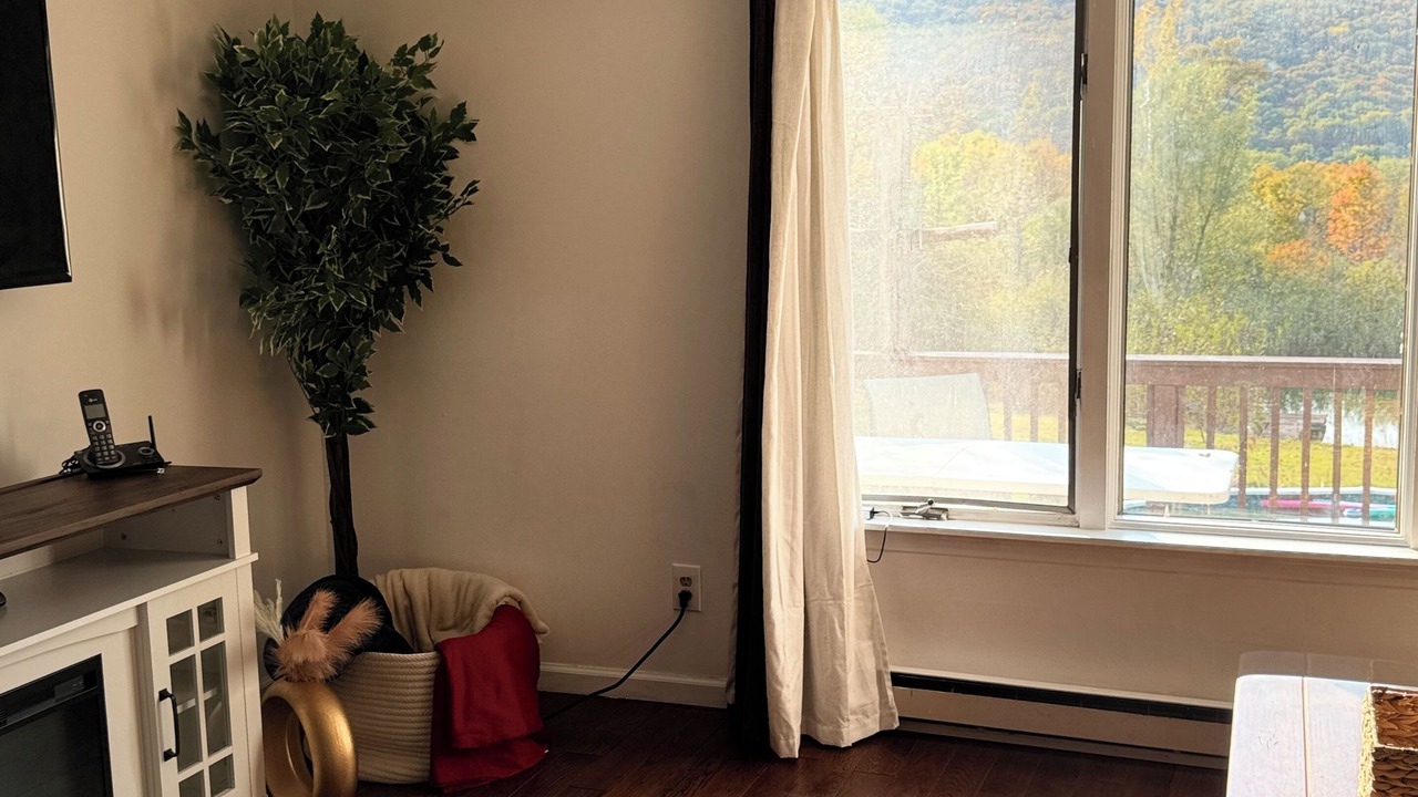 Photo of Livingroom in Jamesville