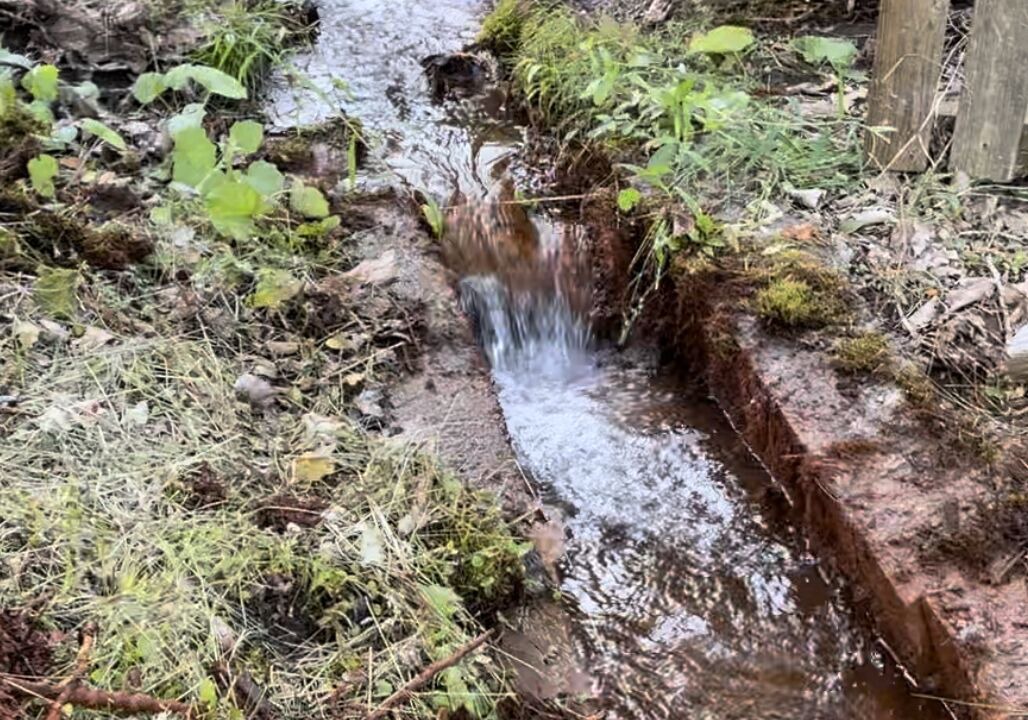 Photo of Outdoor in Jamesville