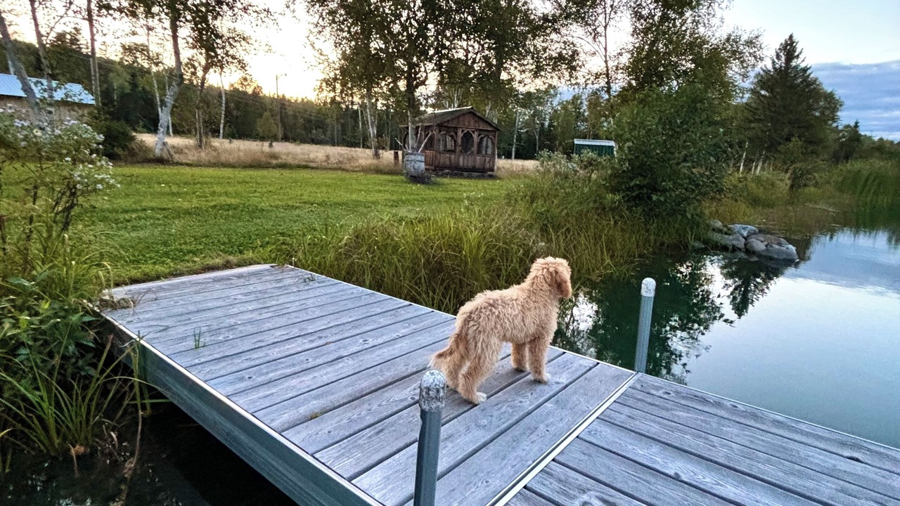 Photo of Outdoor in Fort Kent Mills