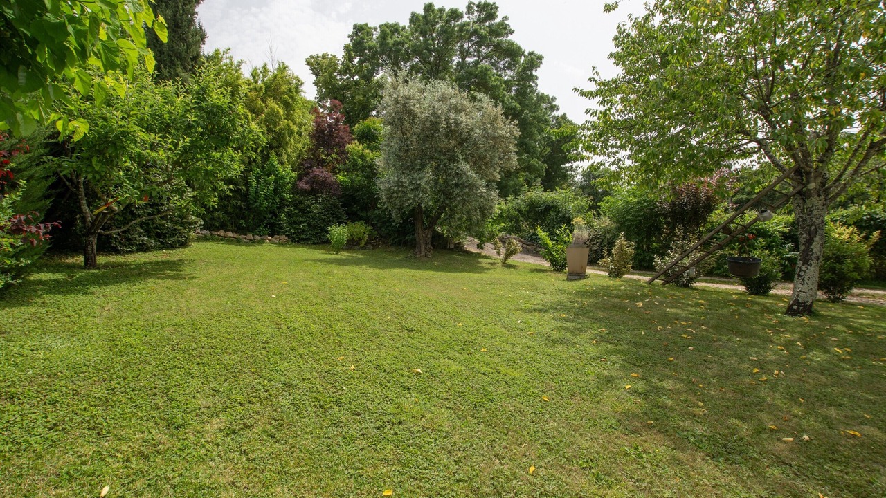 Photo of Outdoor in Gras