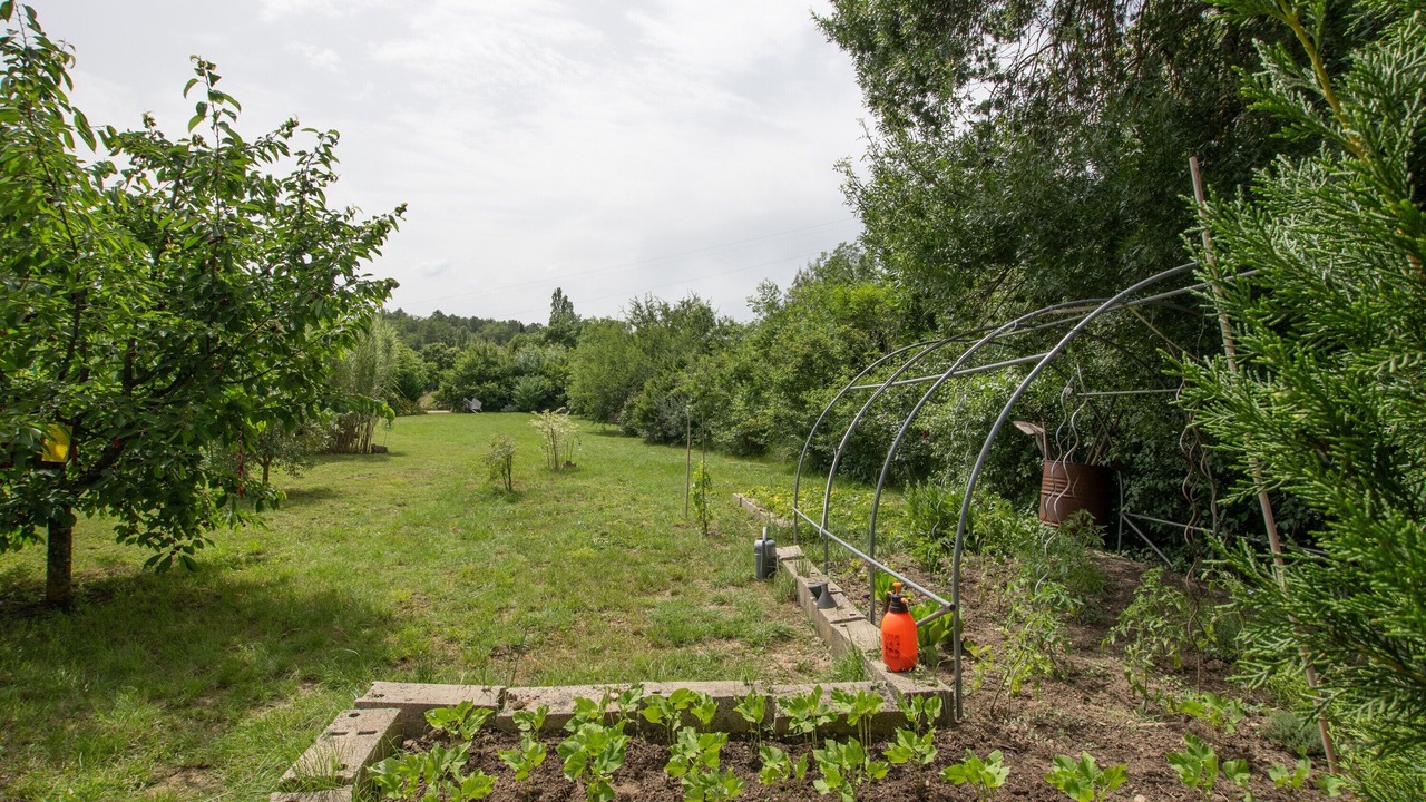 Photo of Outdoor in Gras