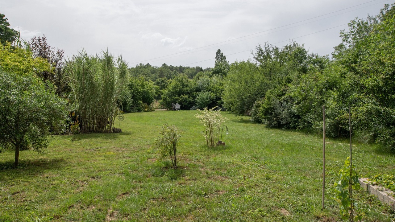 Photo of Outdoor in Gras