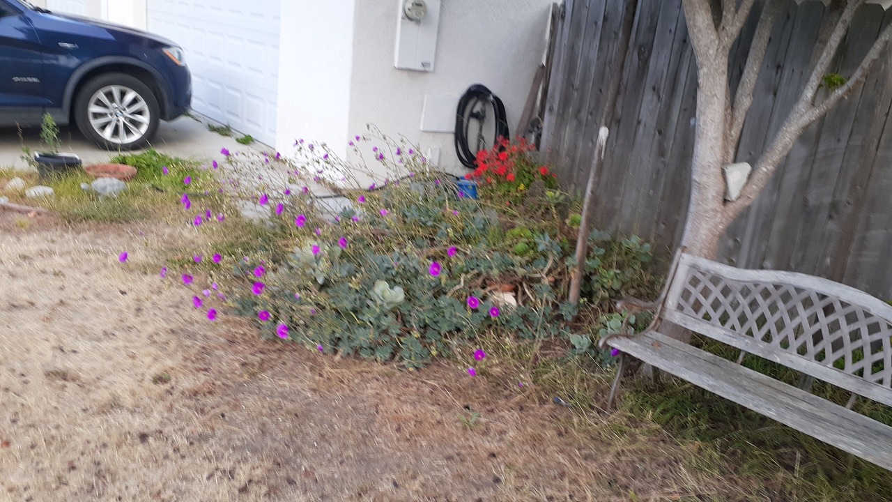 Photo of Outdoor in Hope