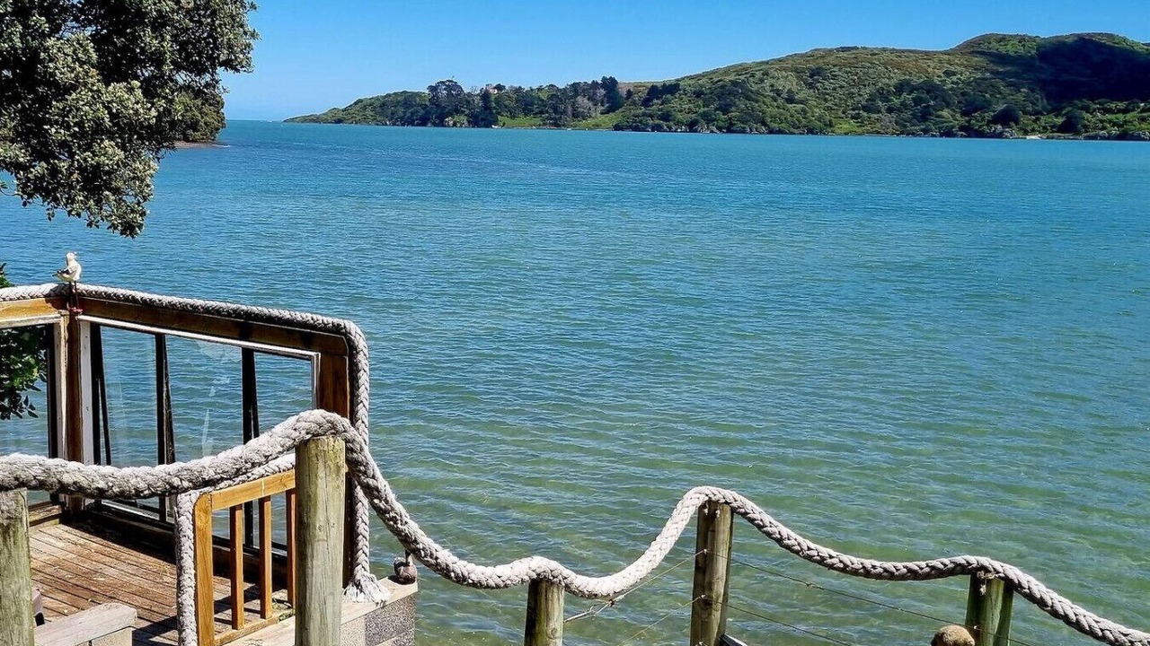 Photo of Others in Raglan