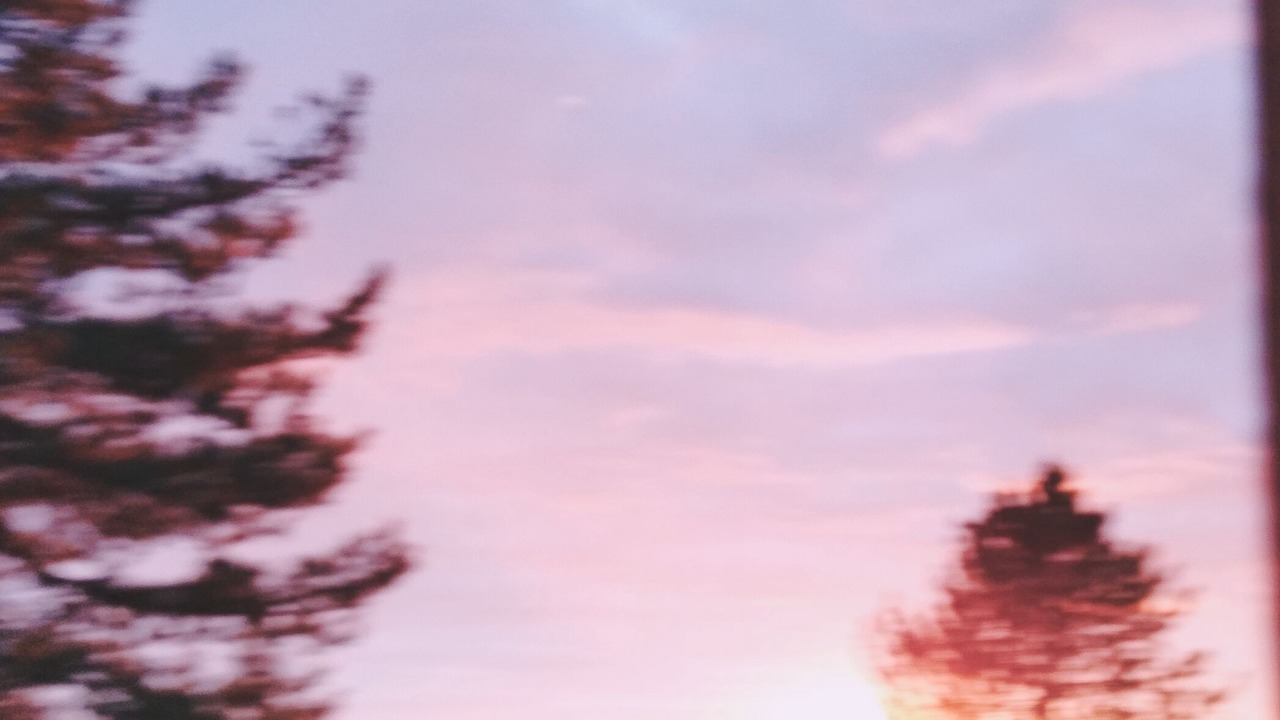 Photo of Others in Montreal