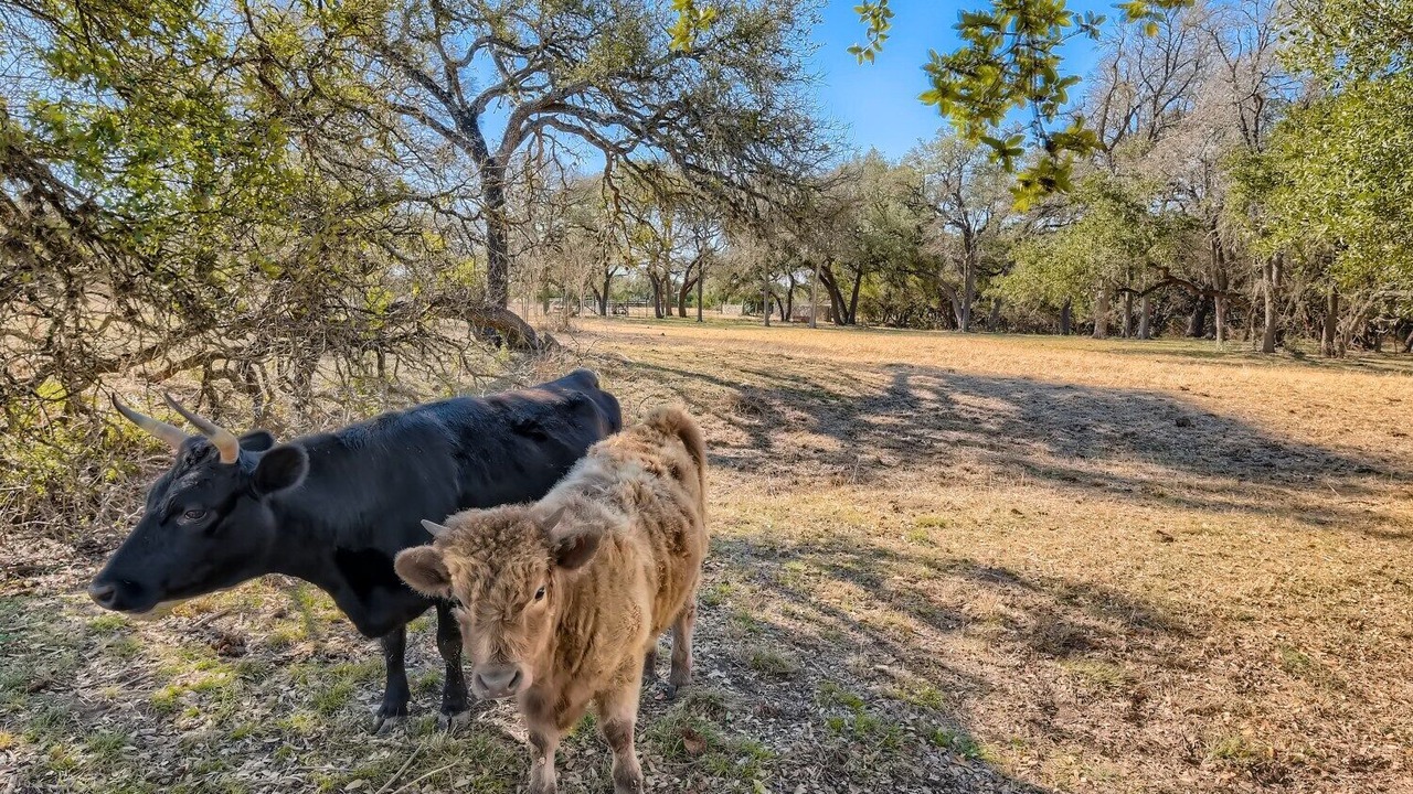 Photo of Outdoor in Austin