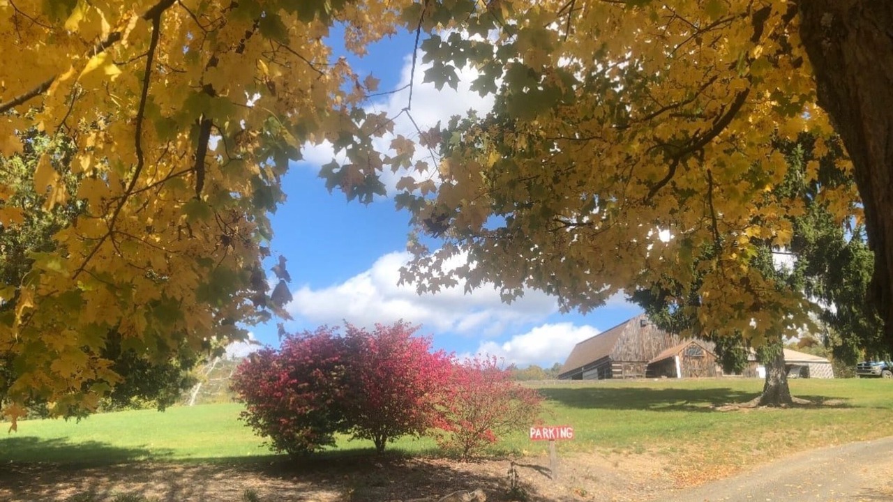 Photo of Outdoor in Fishertown