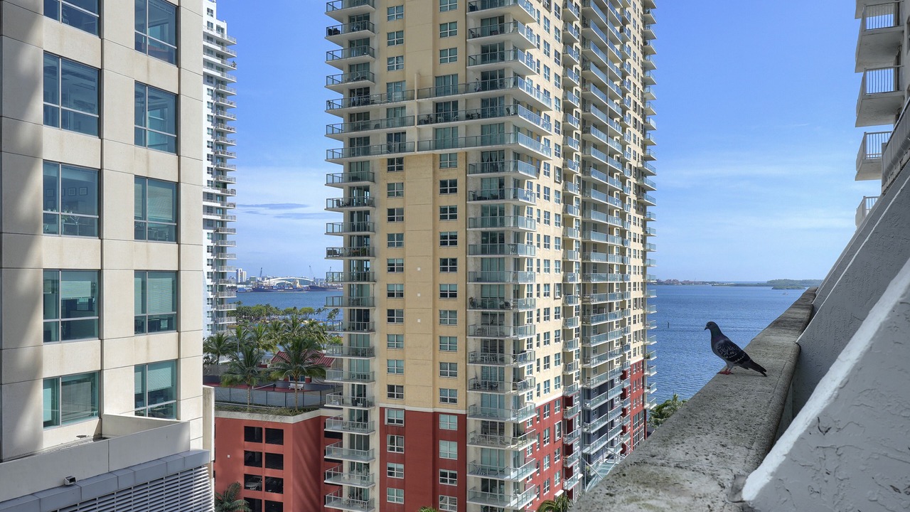 Photo of Outdoor in Brickell