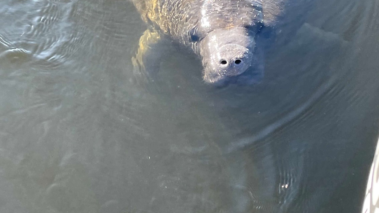Photo of Outdoor in Gulf Harbors