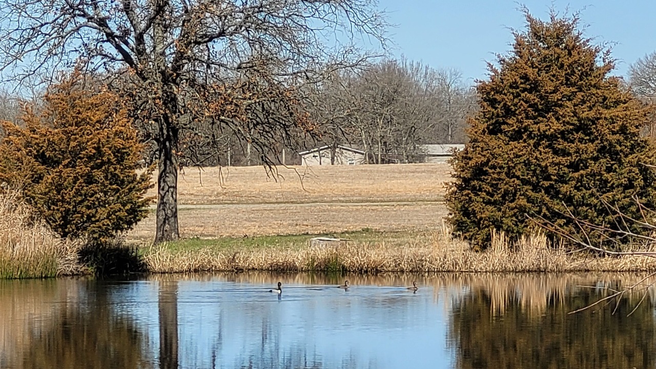 Photo of Outdoor in Durant