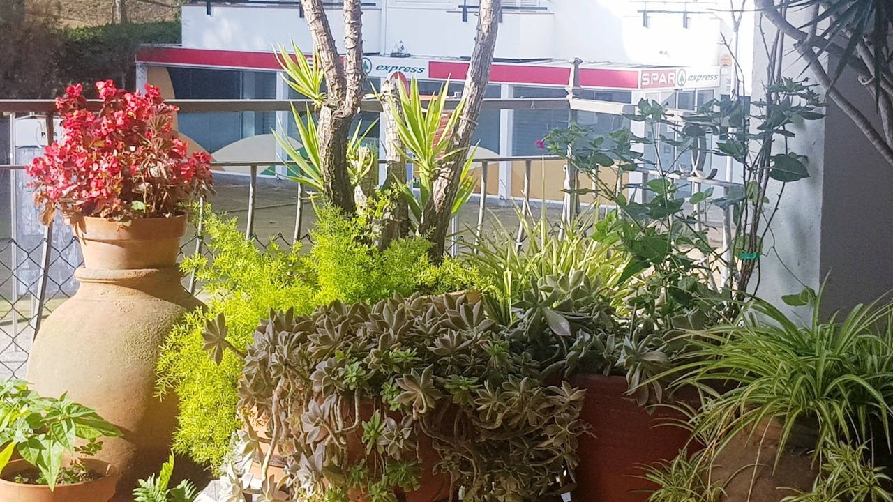 Photo of Outdoor in Tamariu