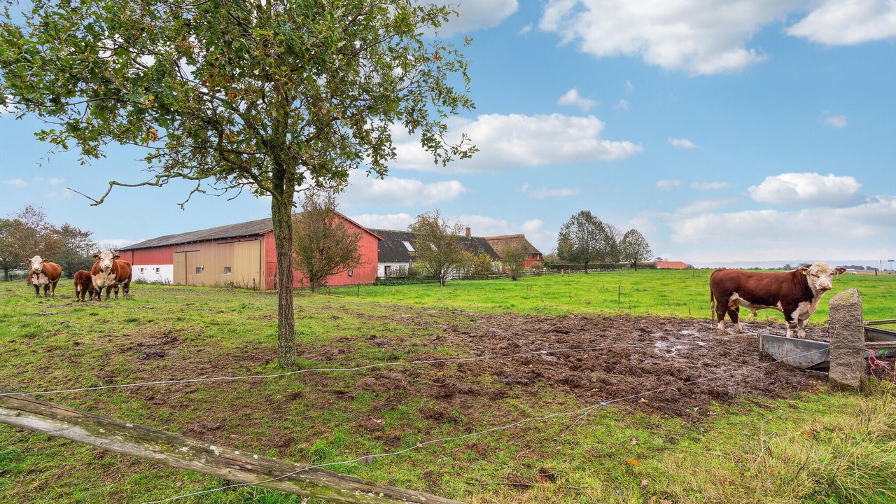 Photo of Others in Faaborg