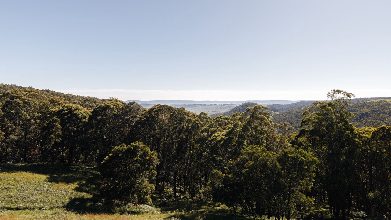 Photo of Others in Hampton