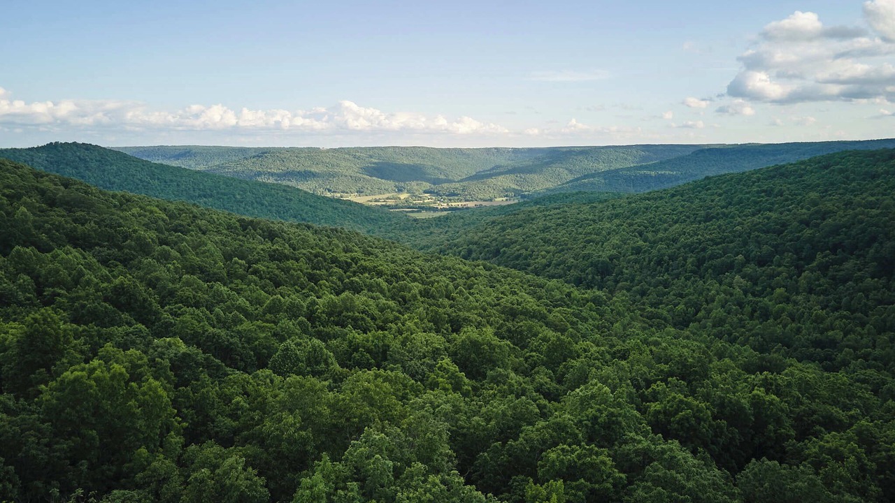 Photo of Outdoor in Sewanee