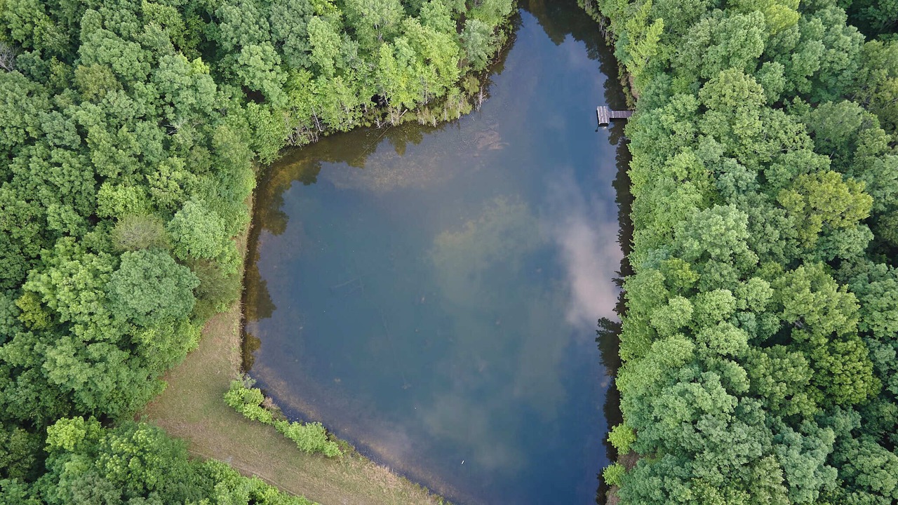 Photo of Outdoor in Sewanee