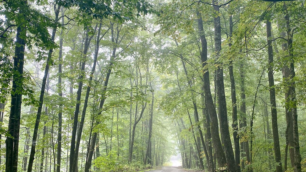 Photo of Outdoor in Cavendish