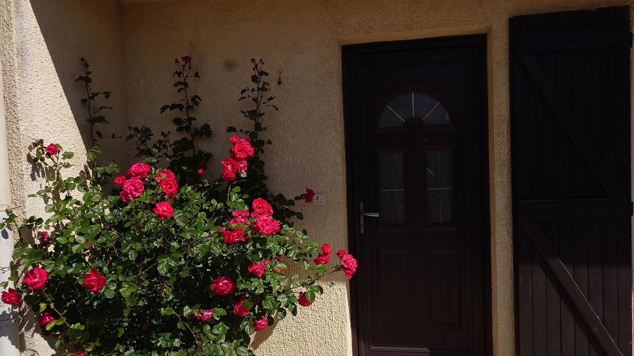 Photo of Outdoor in Latour-Bas-Elne