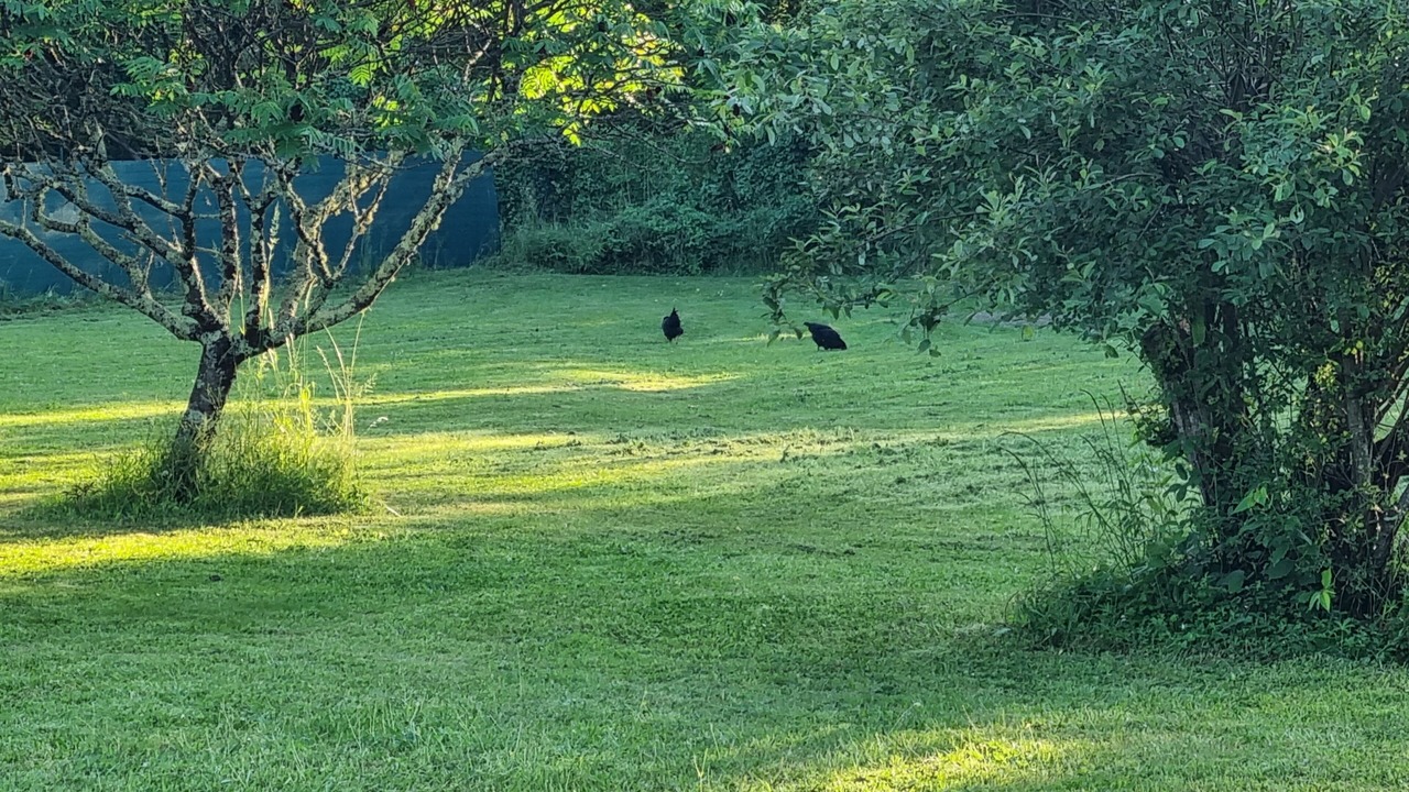 Photo of Outdoor in Miramont-de-Guyenne