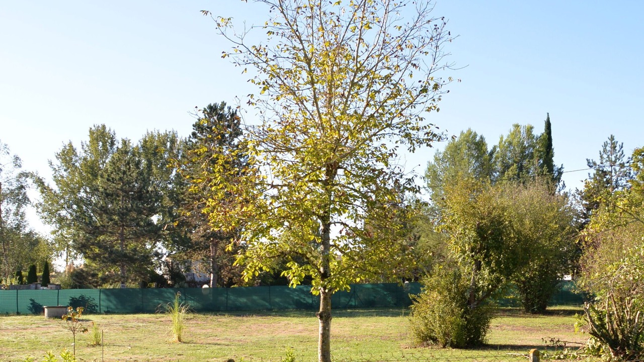 Photo of Outdoor in Miramont-de-Guyenne