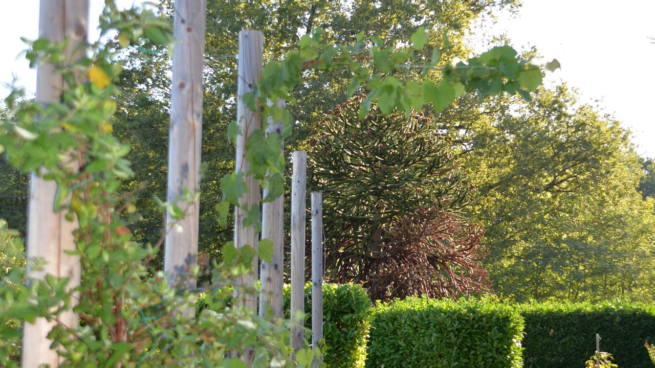 Photo of Outdoor in Miramont-de-Guyenne