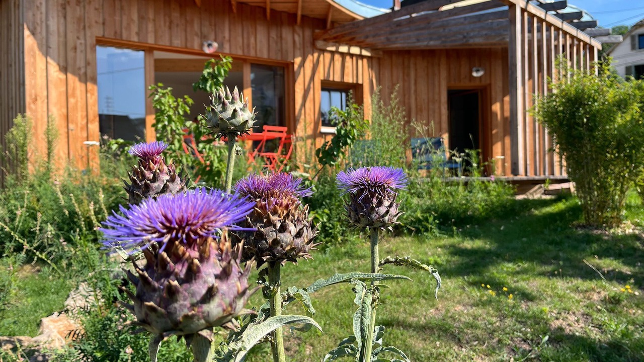 Photo of Outdoor in Wihr-au-Val