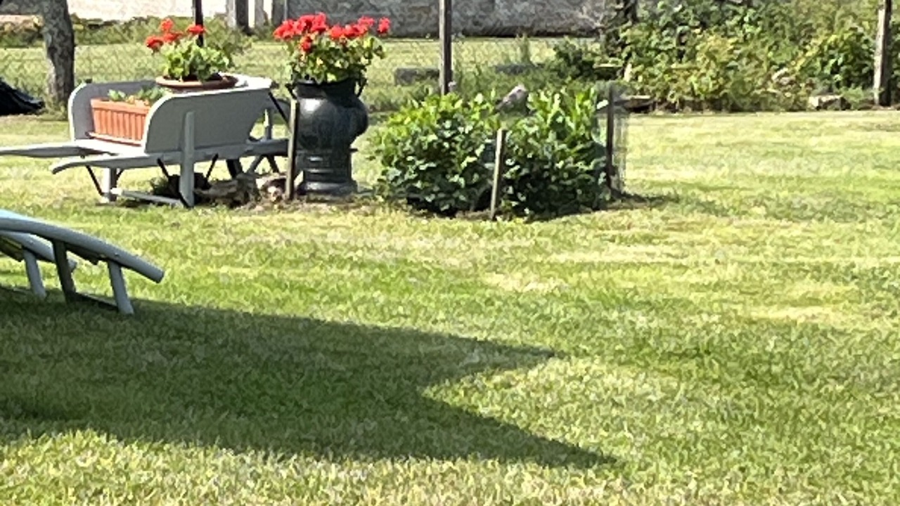 Photo of Outdoor in Saint-Martial de Gimel