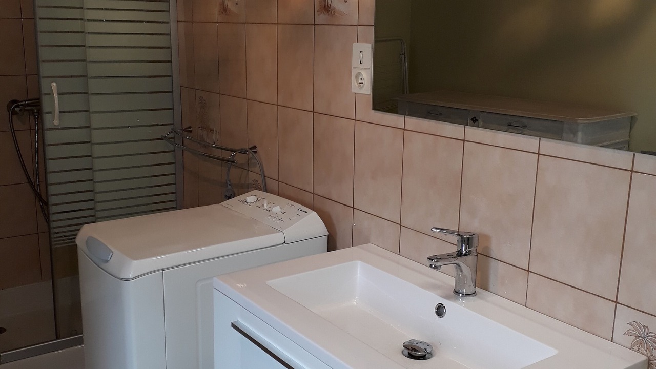 Photo of Bathroom in Saint-Martial de Gimel