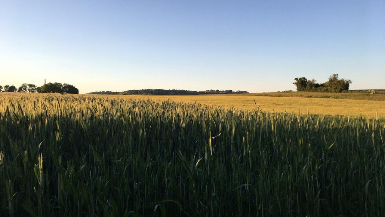 Photo of Others in Epertully