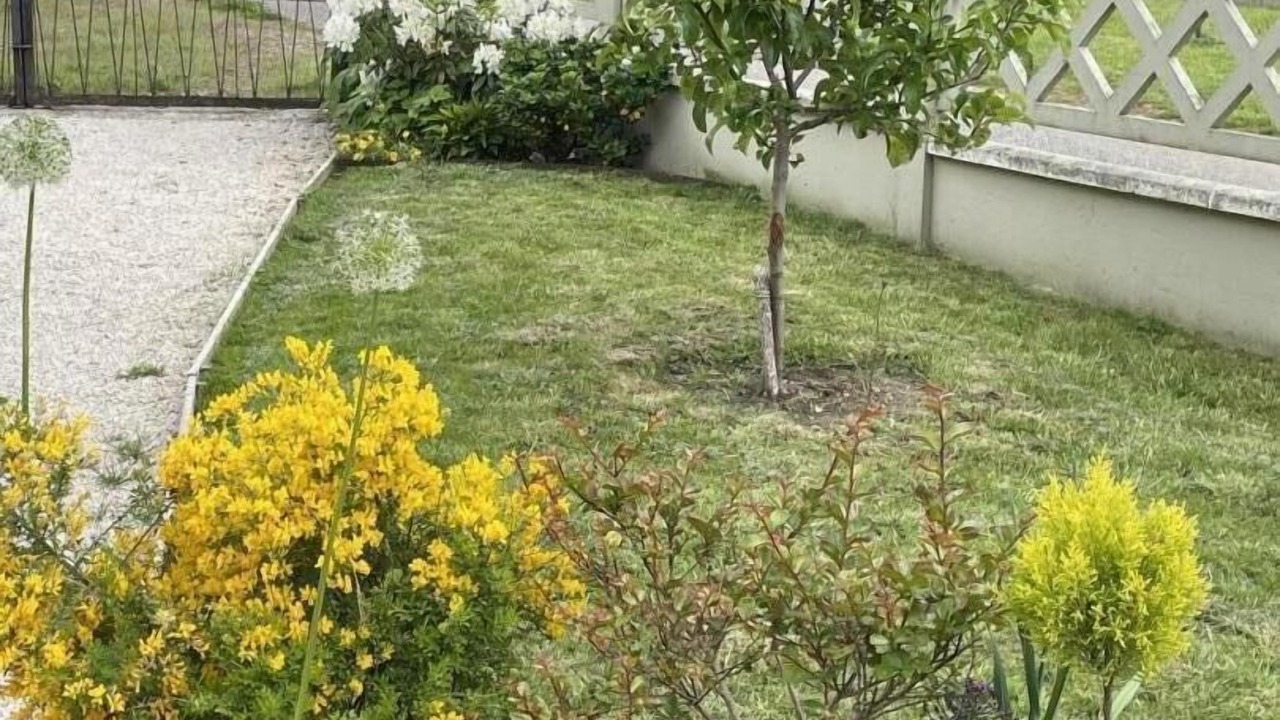 Photo of Outdoor in Epertully