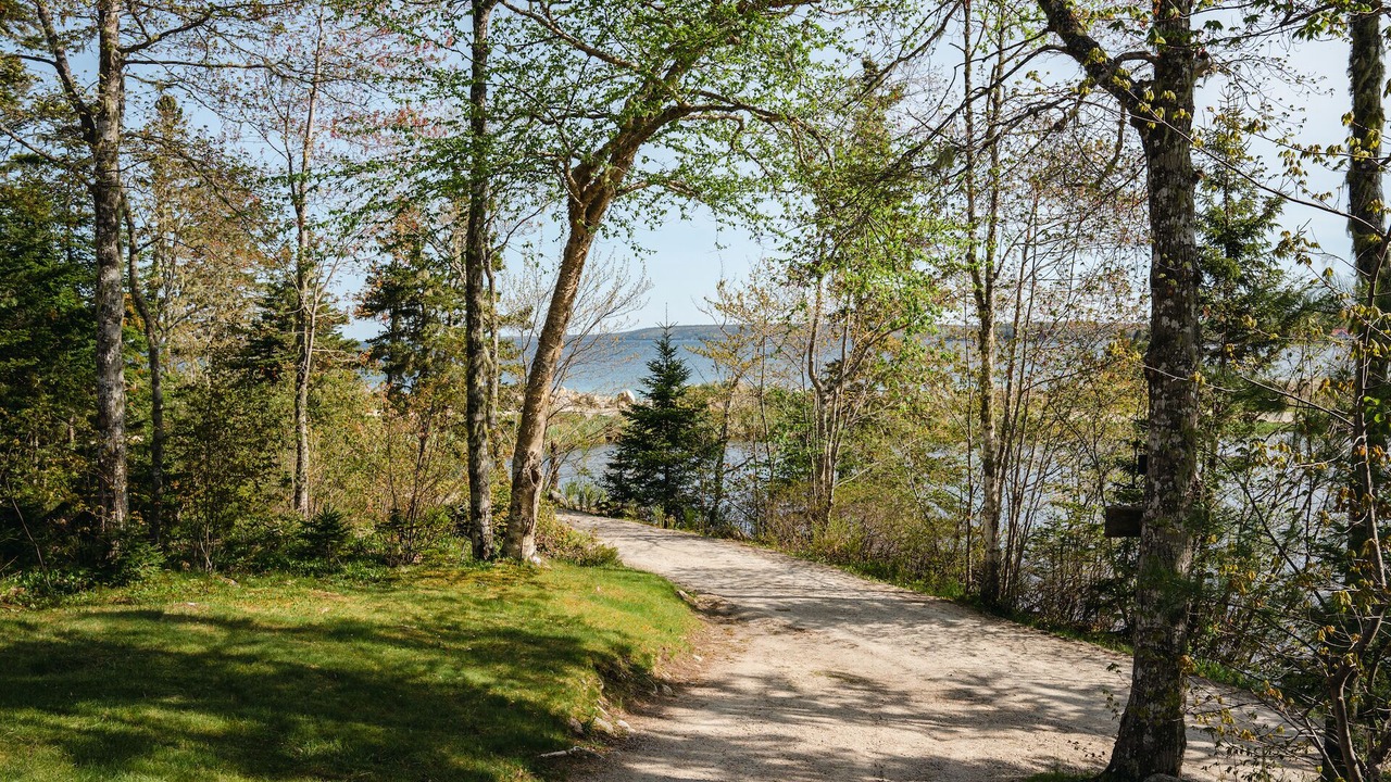 Photo of Others in Hubbards