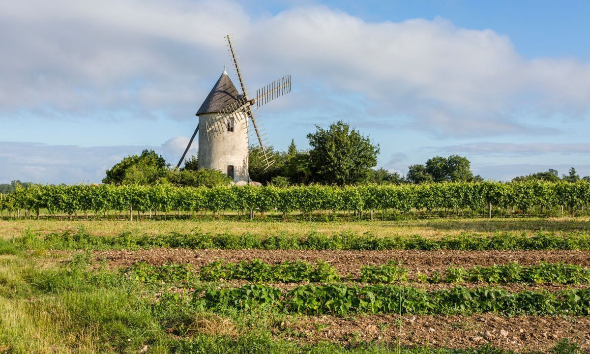 Photo of Others in Belluire