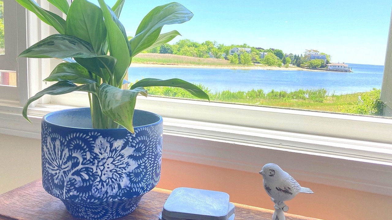 Photo of Others in Barrington