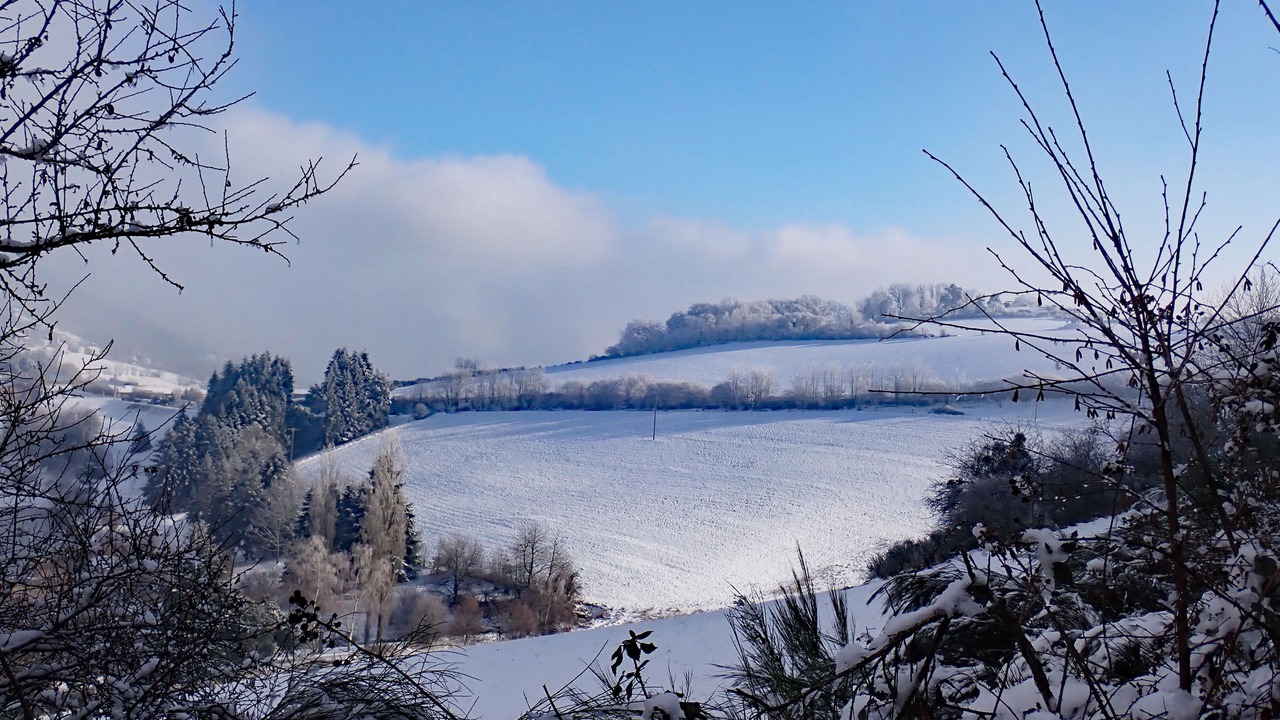 Photo of Others in Yzeron