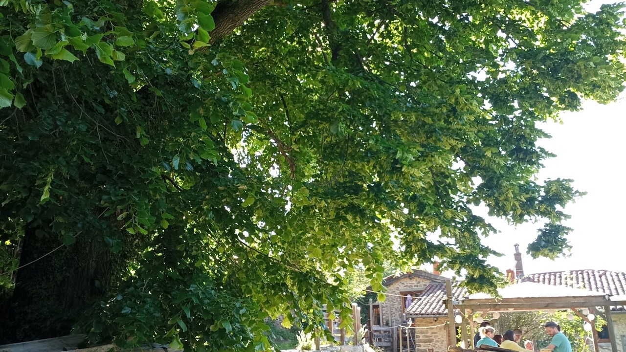 Photo of Outdoor in Yzeron