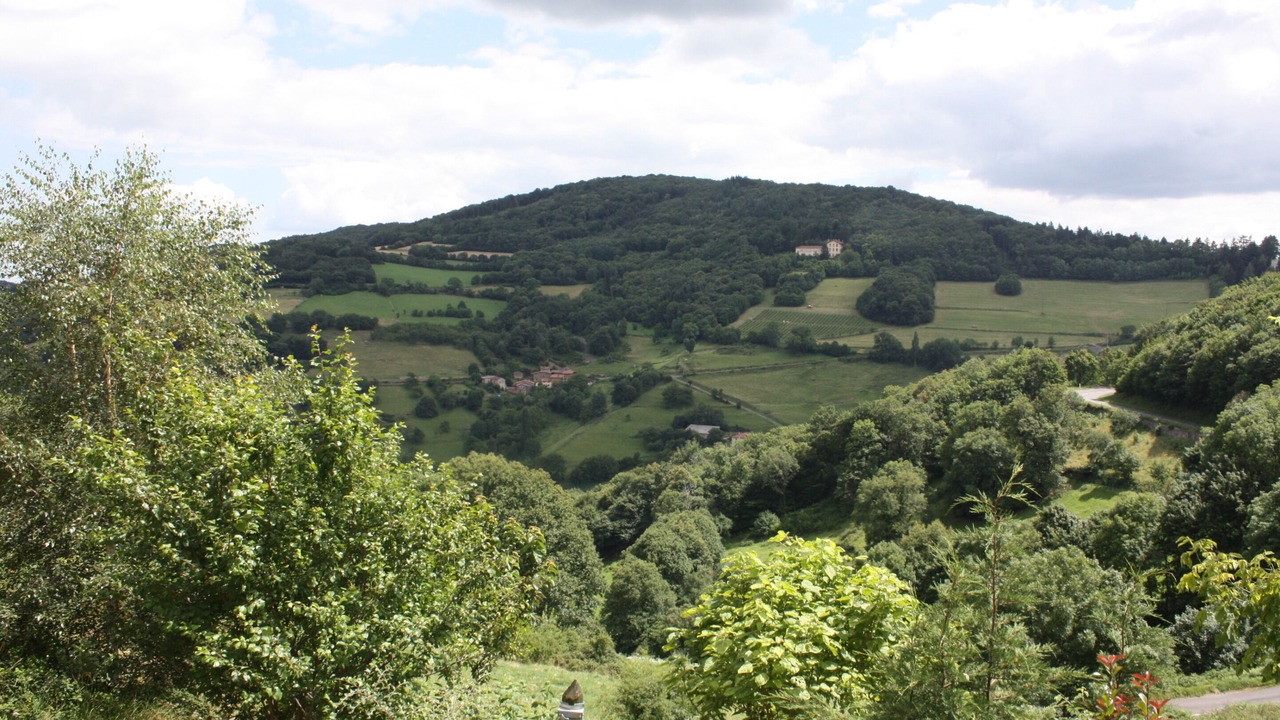 Photo of Others in Yzeron