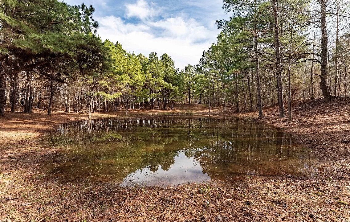 Photo of Outdoor in Clarksville