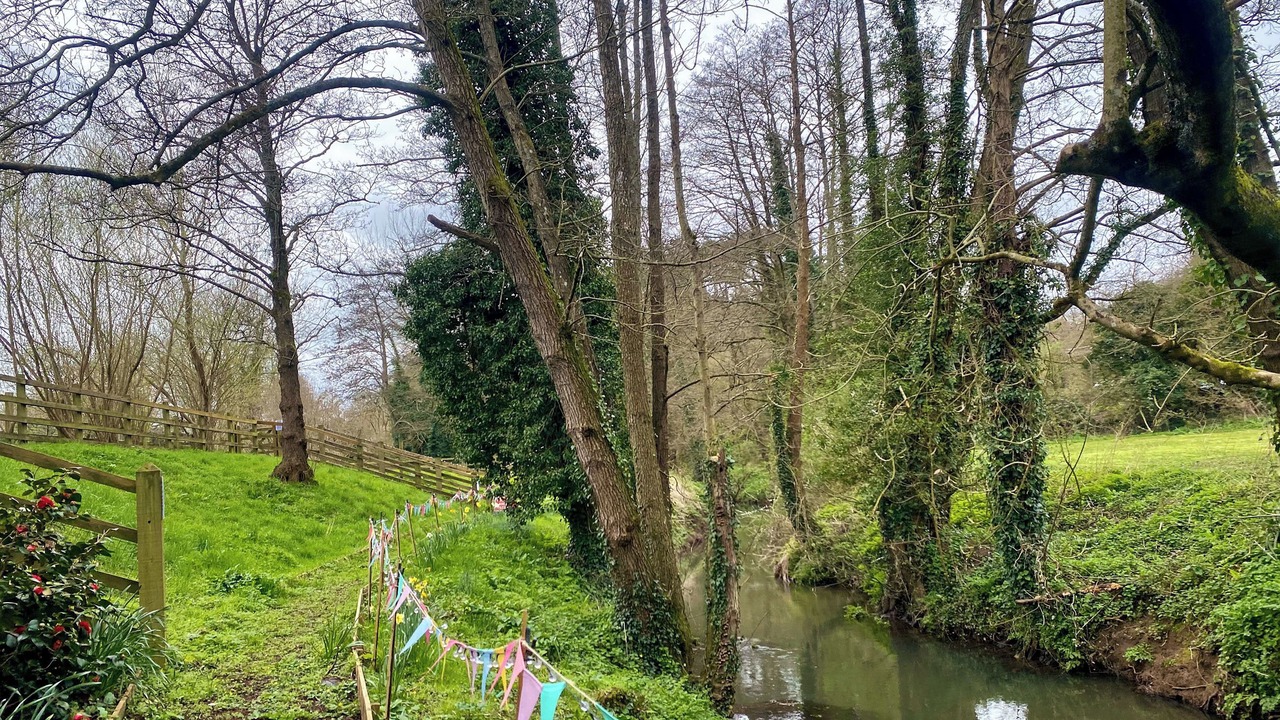 Photo of Outdoor in Camerton