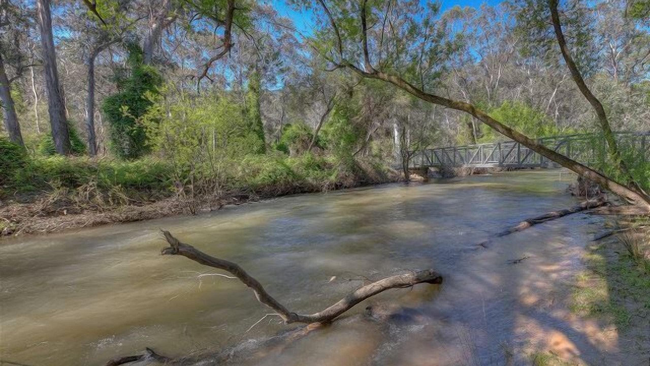 Photo of Others in Freeburgh