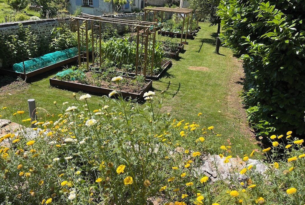 Photo of Outdoor in Port-d'Envaux