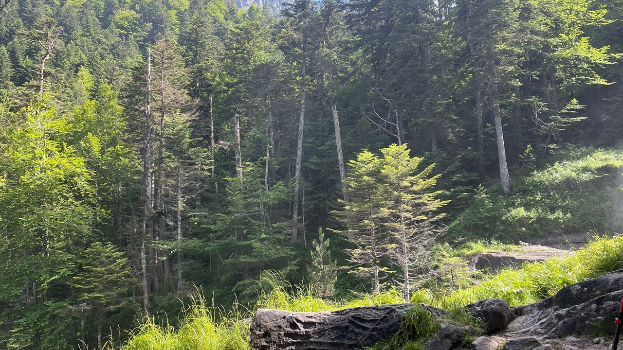 Photo of Outdoor in Cauterets