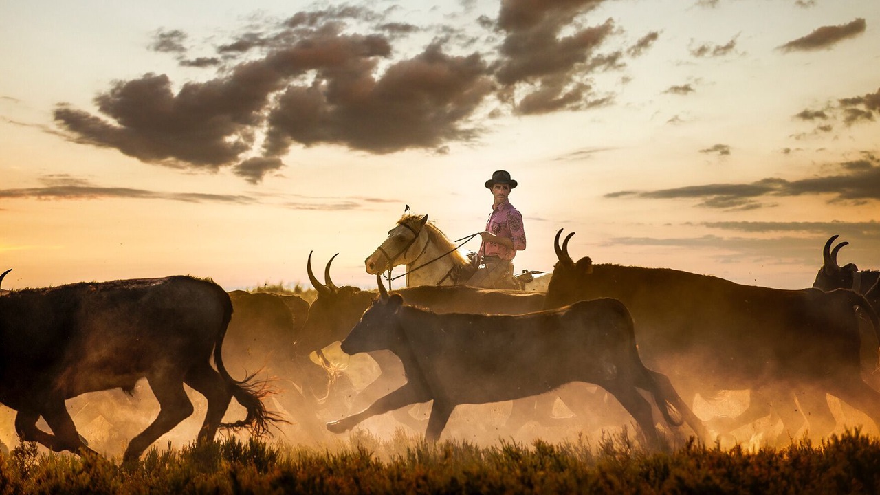 Photo of Others in Lunel-Viel