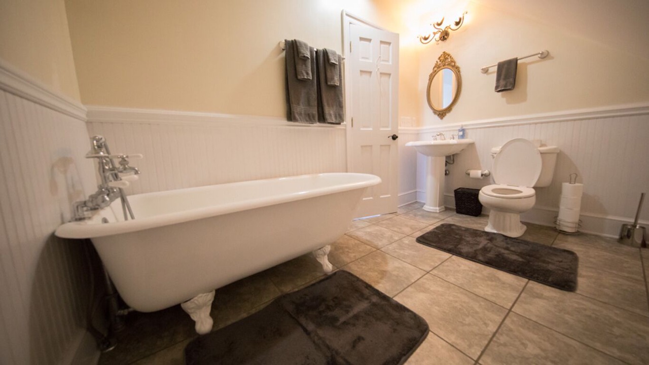 Photo of Bathroom in Forest