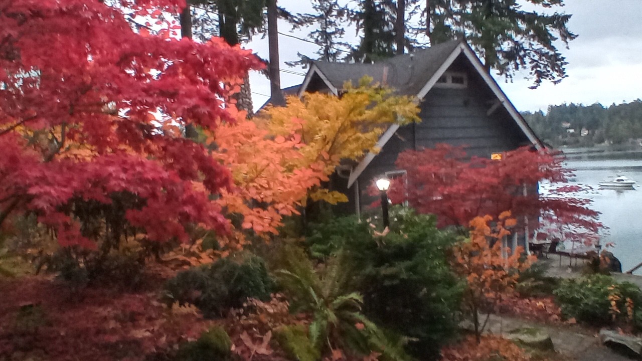 Photo of Outdoor in West Hills