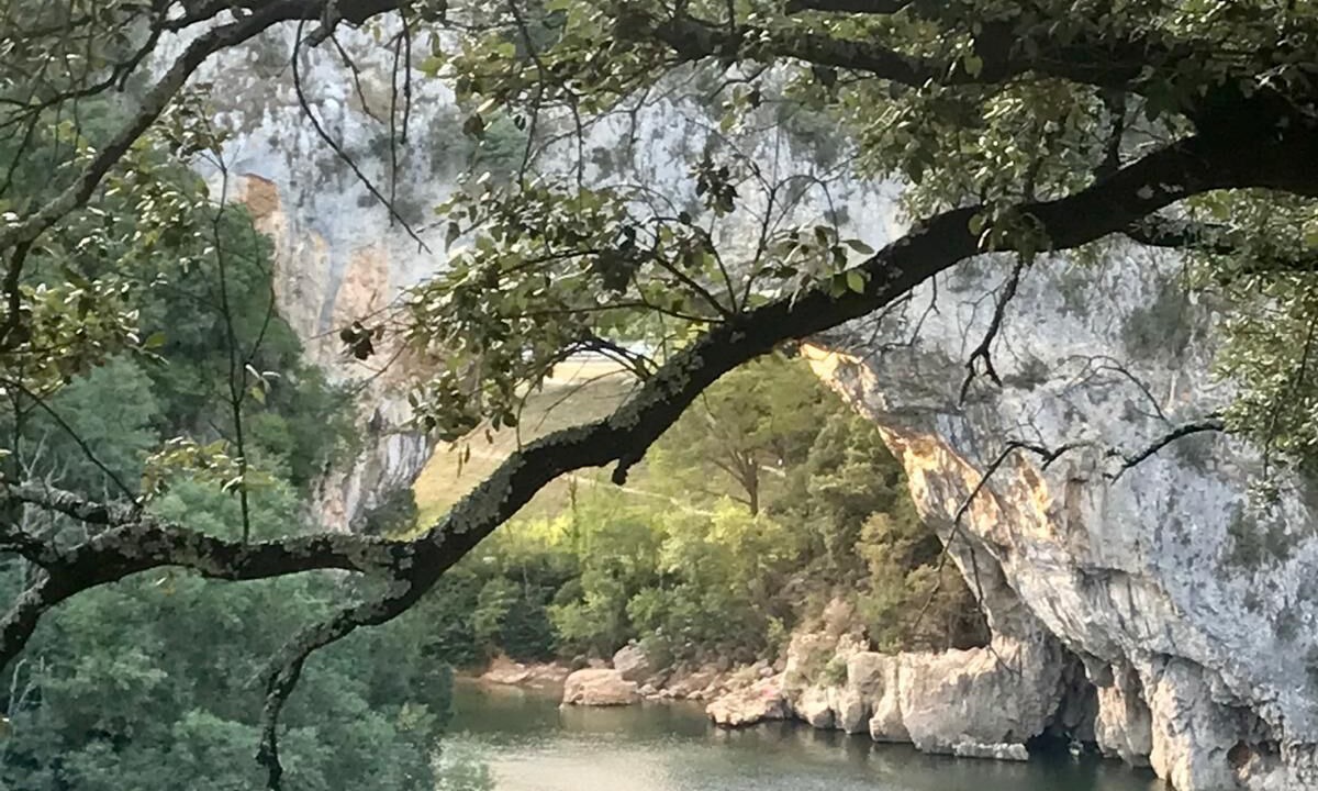 Photo of Others in Labastide-de-Virac