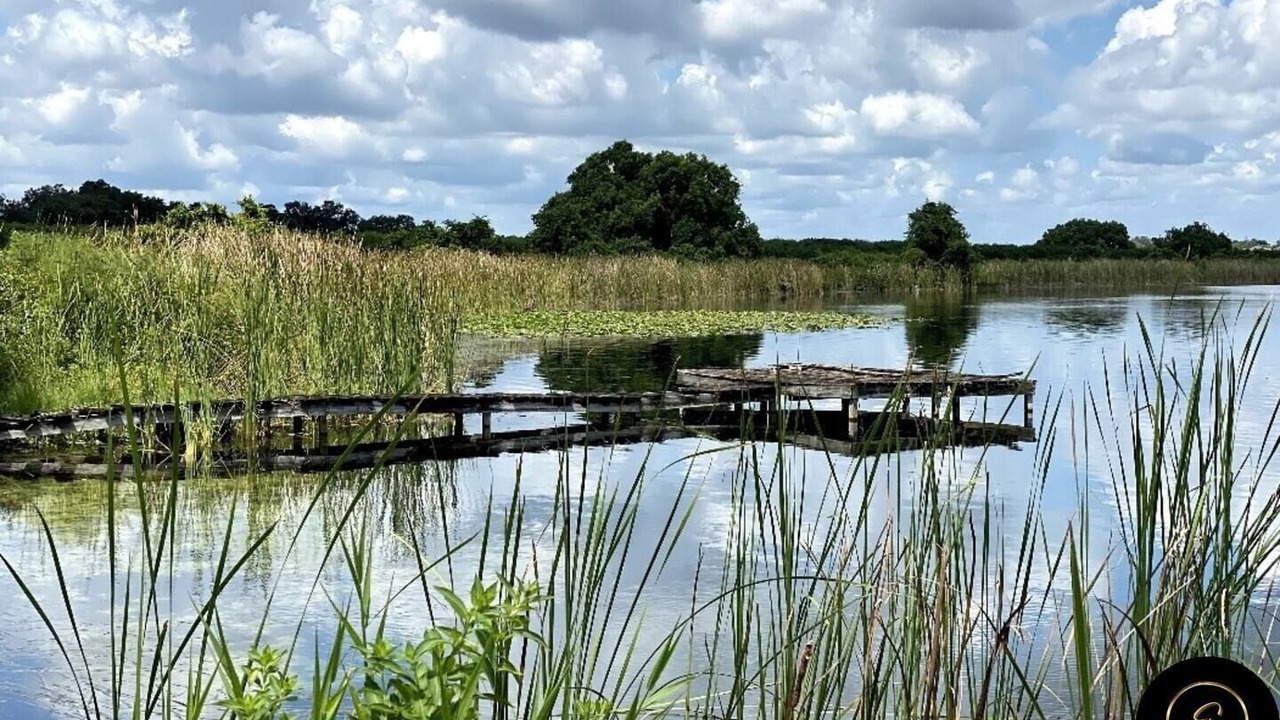 Photo of Others in Lake Alfred