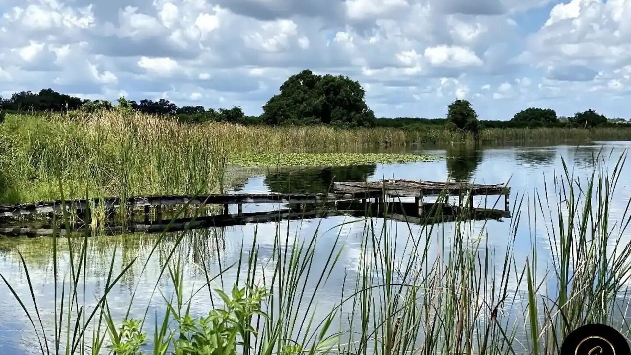 Photo of Others in Lake Alfred